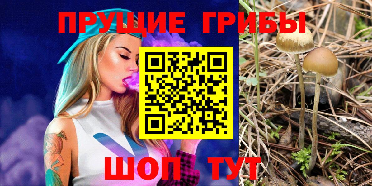 Псилоцибиновые грибы ЛСД Сорочинск