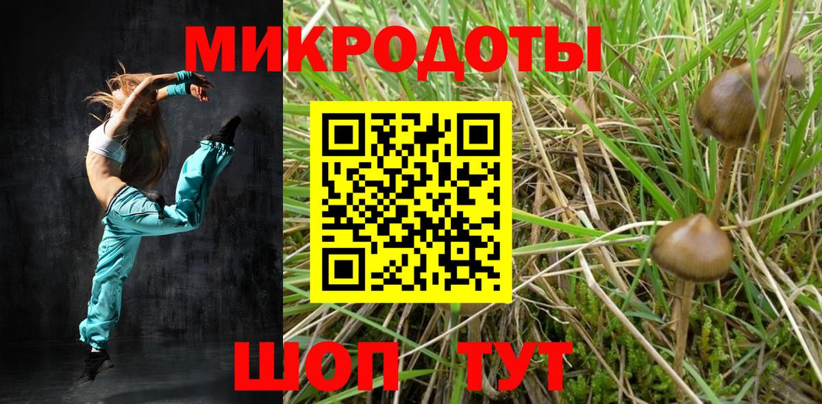 Галлюциногенные грибы Psilocybe  Вход с VPN  Сорочинск  Псилоцибиновые грибы Magic Shrooms 